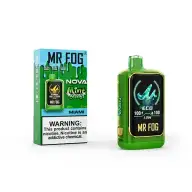MR FOG NOVA — MINT STEEZY MIAMI disposable vape