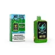 MR FOG NOVA - Mint Steezy Miami