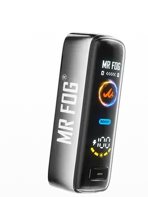 Mr Fog Switch Battery main product photo
