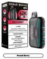 Rocky Vapor OXBAR G42K Disposable Vape - Peach Berry
