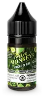 TWELVE MONKEYS SALT 30ML - Circle Of Life