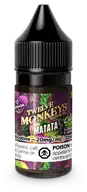 TWELVE MONKEYS SALT 30ML - Matata
