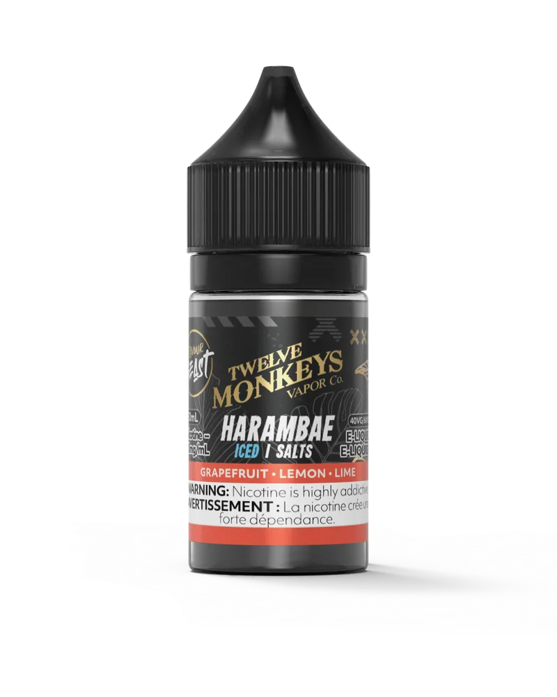 Flavour Beast X Twelve Monkeys Salt main product photo